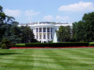 How Government Assistance Programs Actually Work